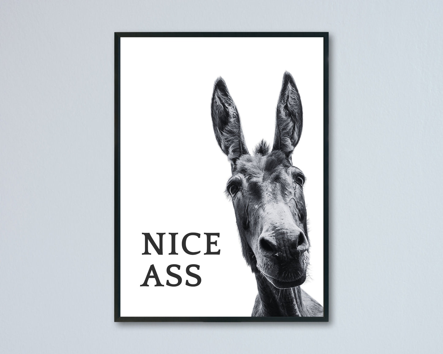 Framed artwork of a donkey with text 'NICE ASS' on a light gray background