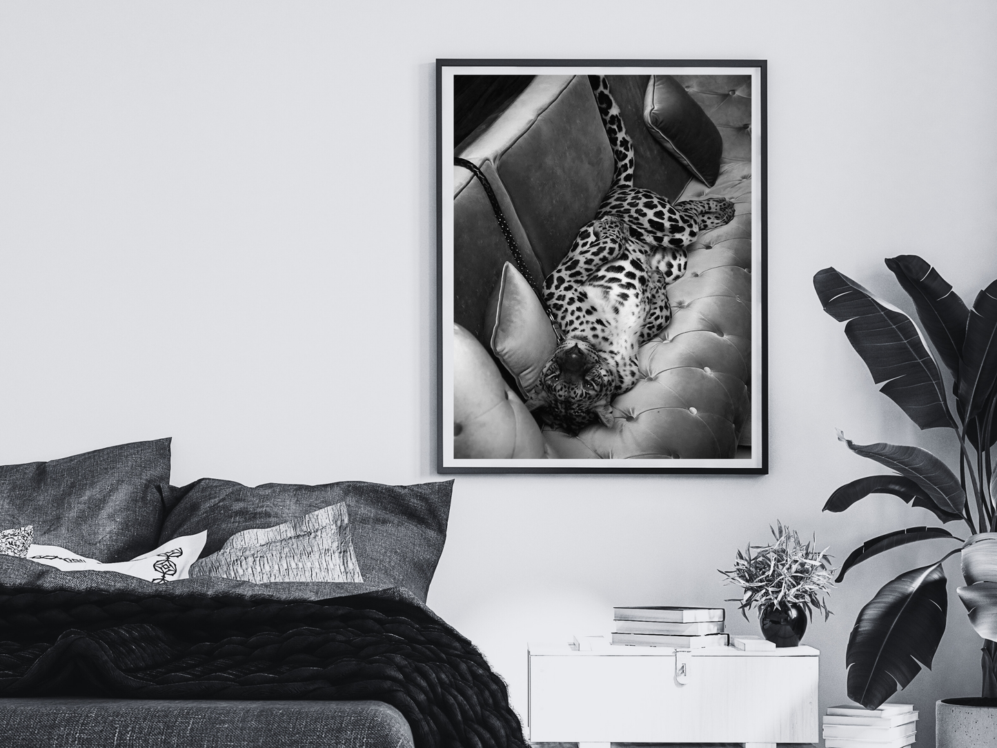 Leopard On Sofa Poster Black and White Wild Animal Wall Art Digital Download