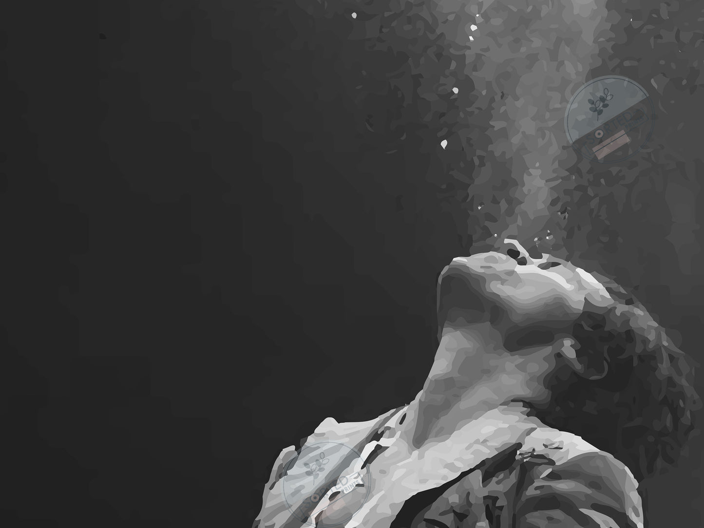 Harry Styles Love on Tour Poster Black and White Music Wall Art Digital Download