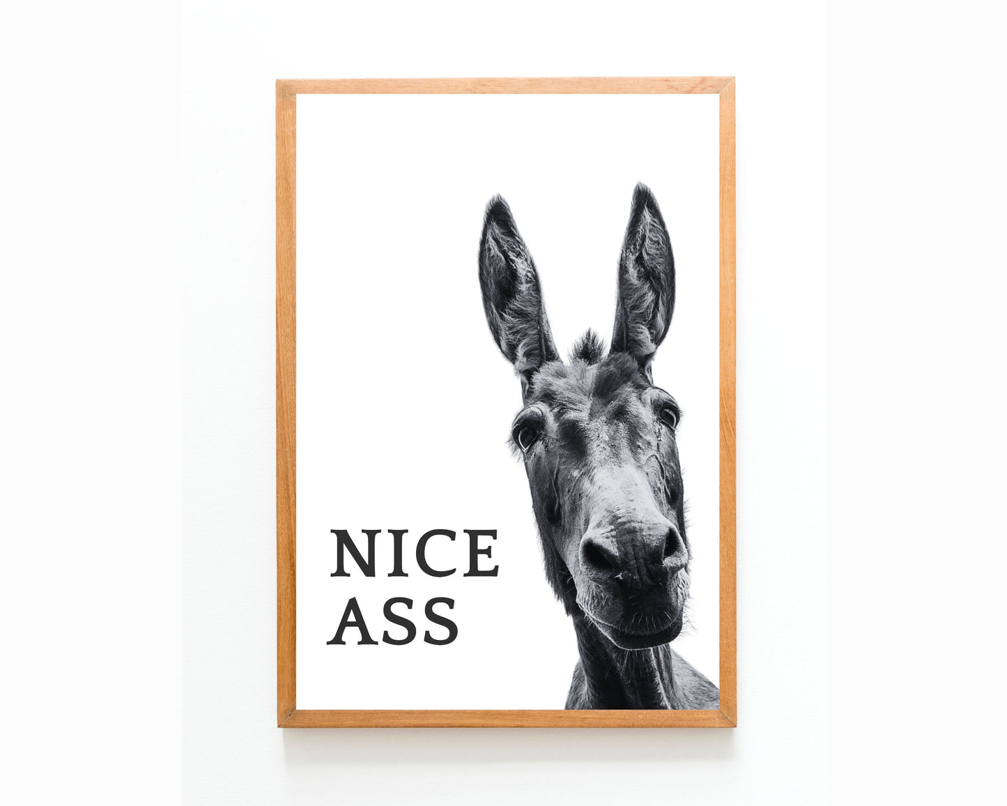 Framed poster with a donkey's face and the text 'NICE ASS' on a white background