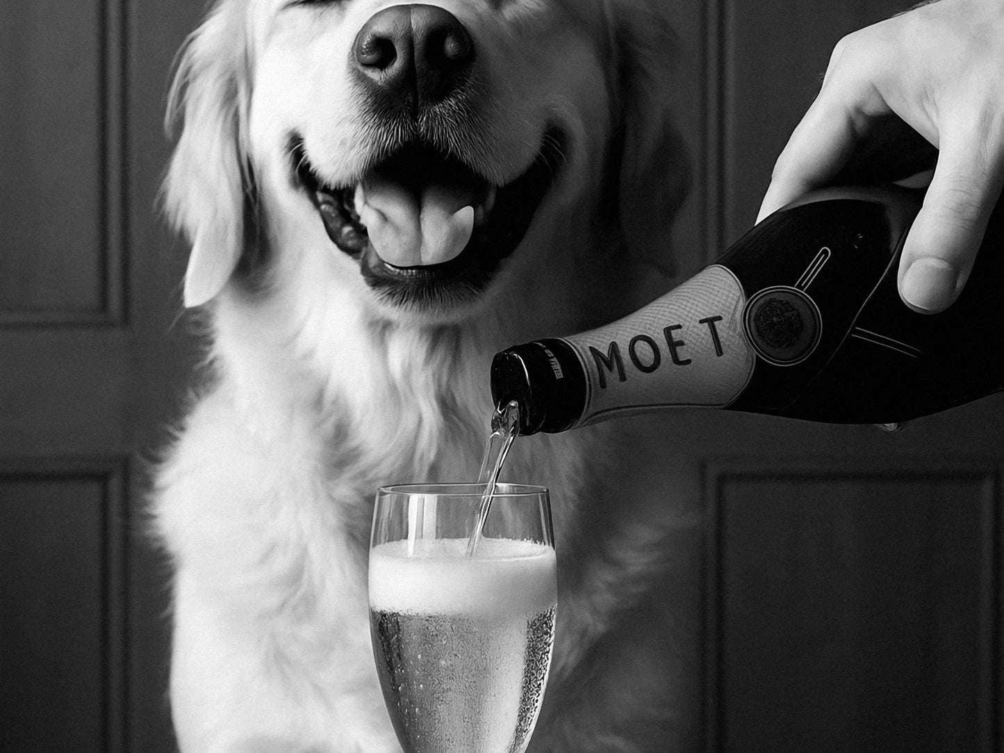 Golden Retriever Dog Drinking Champagne Print, Black and White, Bar Cart Wall Art, Cocktail Poster, Pub Decor, Printable, Digital Download
