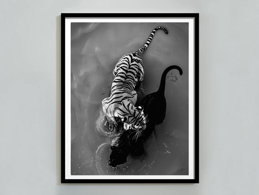 Tiger And Panther Poster Black and White – Wild Animal Art Print For Jungle And Wildlife Decor (Digital Download)