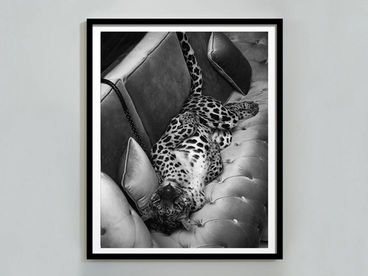 Leopard On Sofa Poster Black and White Wild Animal Wall Art Digital Download