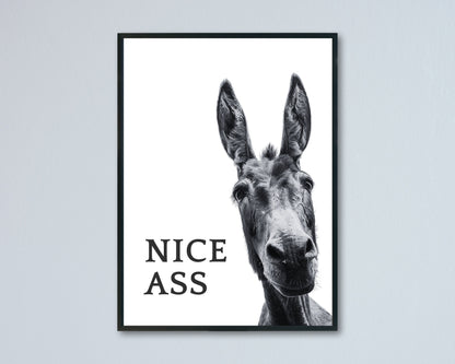 Framed artwork of a donkey with text 'NICE ASS' on a light gray background