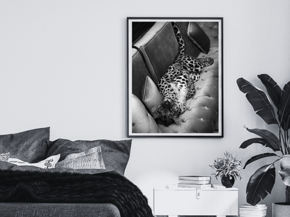 Leopard On Sofa Poster Black and White Wild Animal Wall Art Digital Download