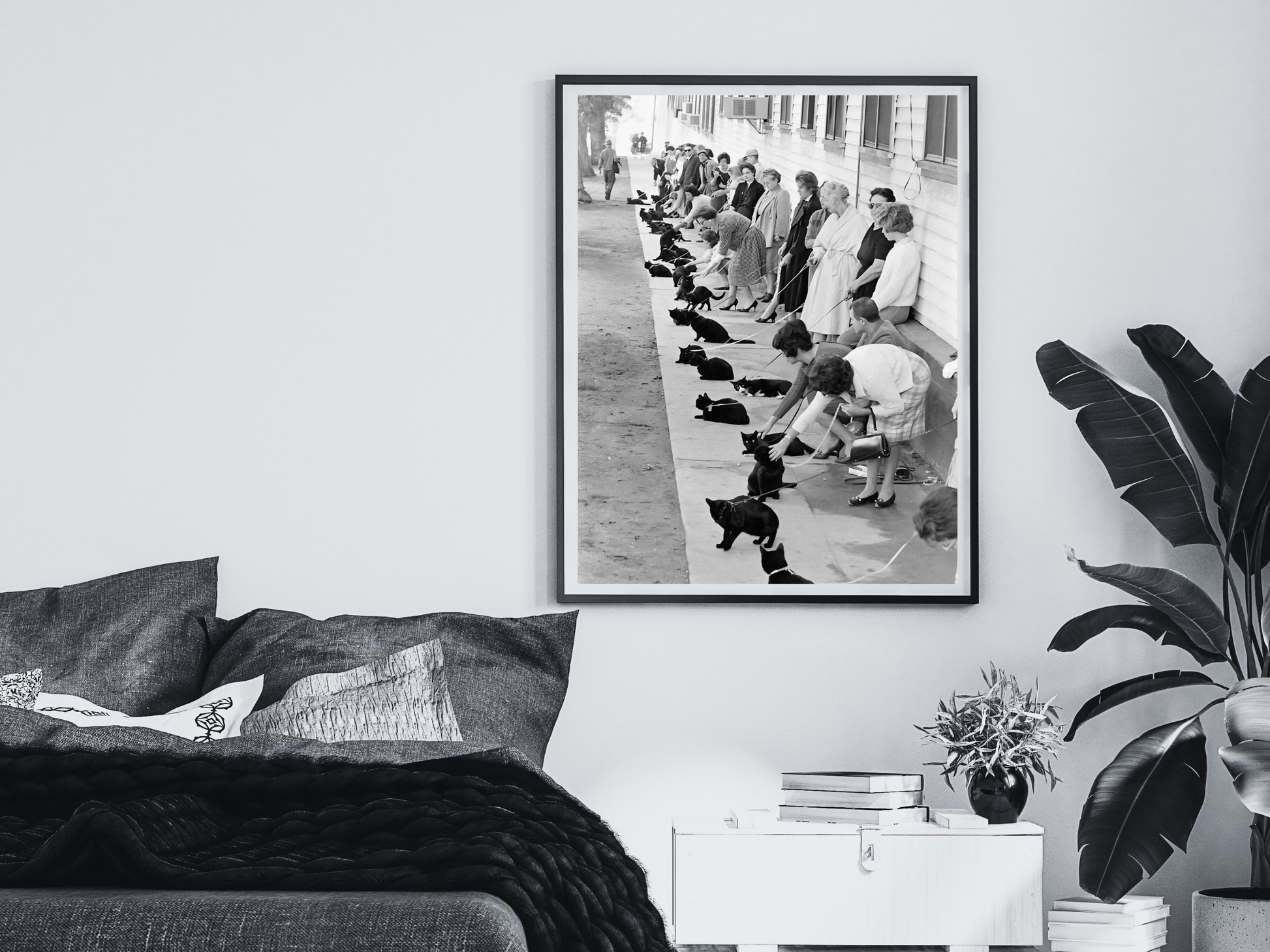 Hollywood Black Cat Auditions Vintage Movie Casting Scene Digital Download