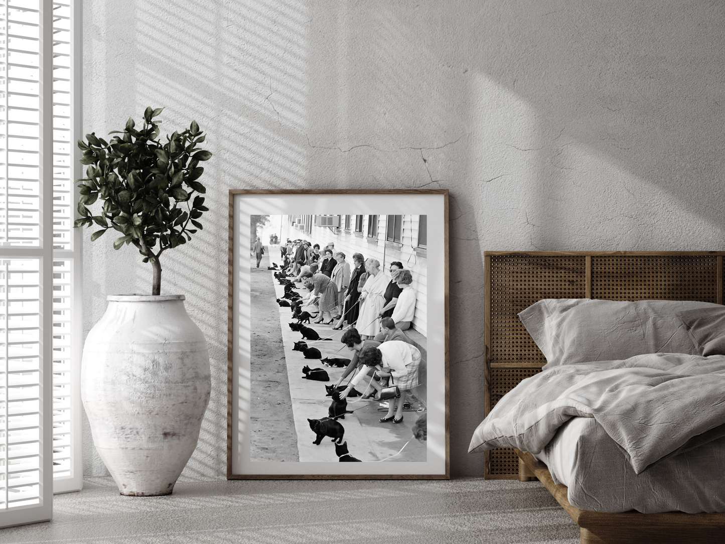 Hollywood Black Cat Auditions Vintage Movie Casting Scene Digital Download