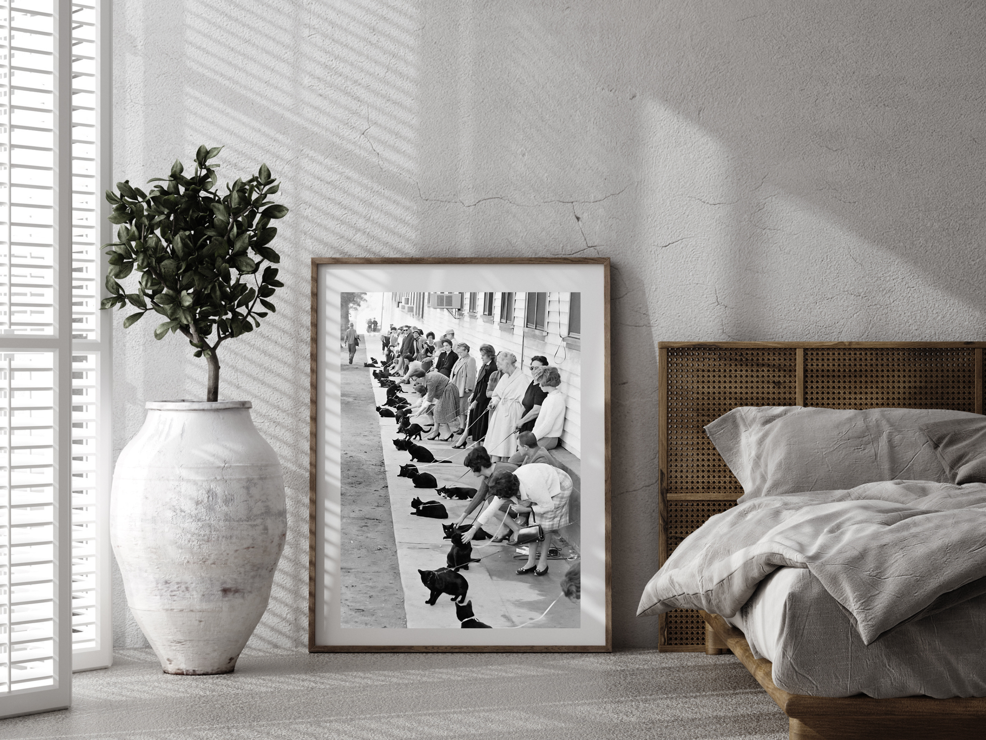 Hollywood Black Cat Auditions Vintage Movie Casting Scene Digital Download