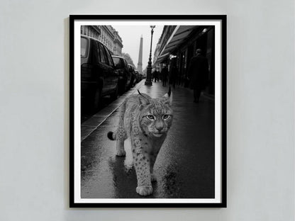 lynxes wall art cheetah inspired print leopard aesthetic poster glam jungle printable decor trendy preppy room style digital download printable wall art poster, digital download