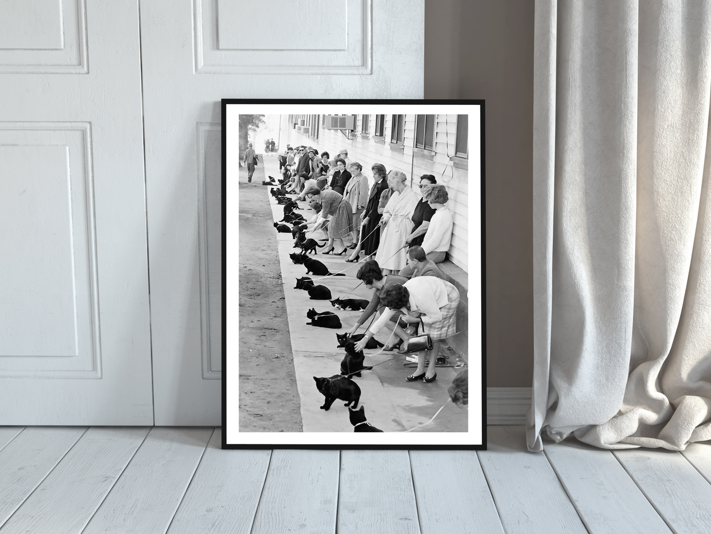 Hollywood Black Cat Auditions Vintage Movie Casting Scene Digital Download