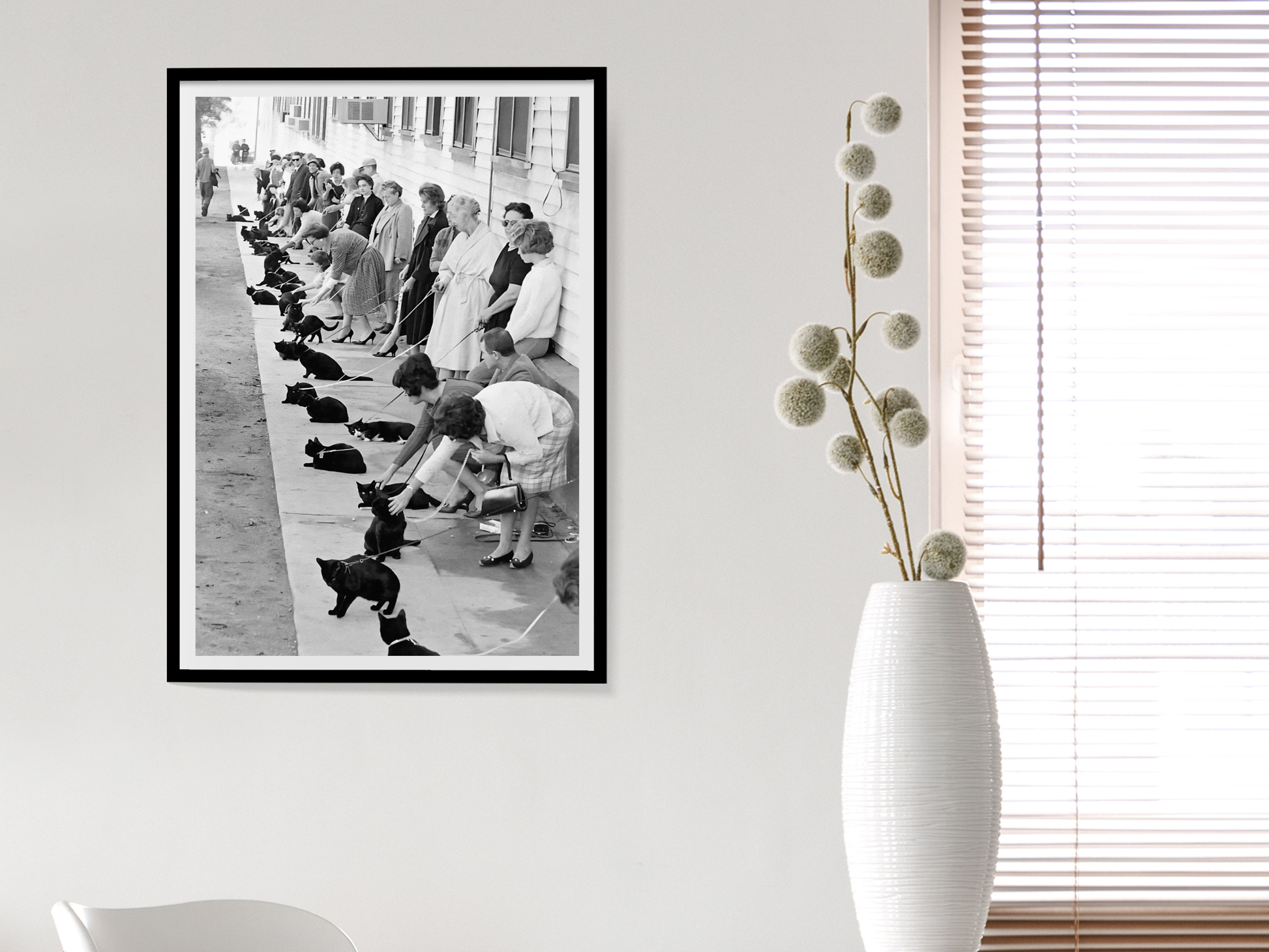 Hollywood Black Cat Auditions Vintage Movie Casting Scene Digital Download