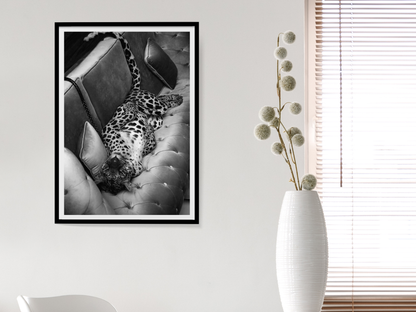 Leopard On Sofa Poster Black and White Wild Animal Wall Art Digital Download