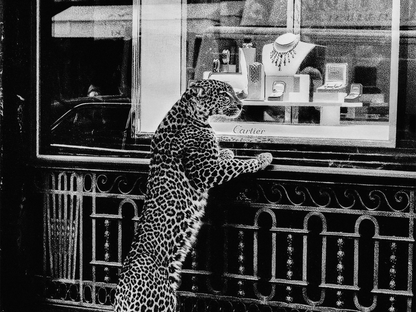Cartier Leopard Poster Black And White Luxury Fashion Store Wall Art Digital Download