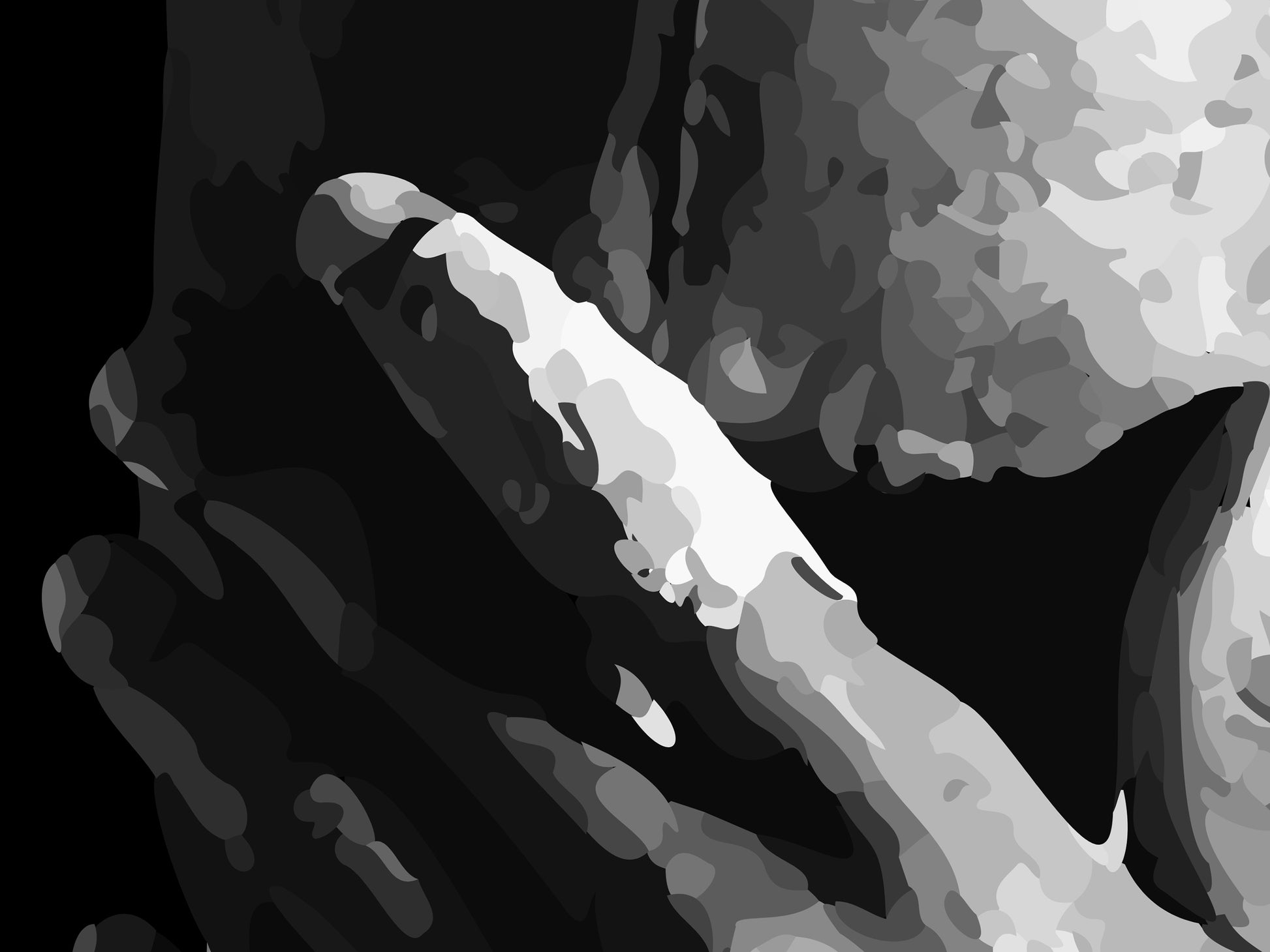 Frank Ocean Blonde Poster Black and White Music Wall Art Digital Download