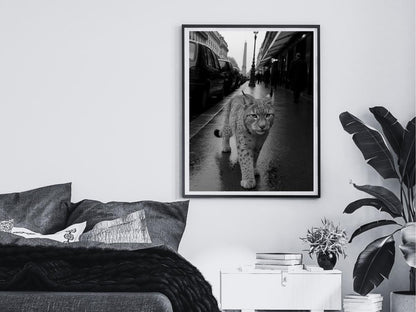 lynxes wall art cheetah inspired print leopard aesthetic poster glam jungle printable decor trendy preppy room style digital download printable wall art poster, digital download
