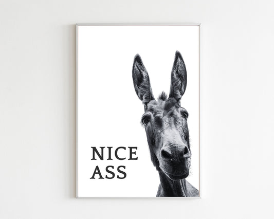 Black and white poster of a donkey with 'NICE ASS' text on a white background