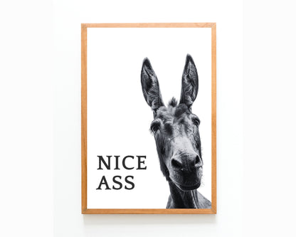 Framed poster with a donkey's face and the text 'NICE ASS' on a white background
